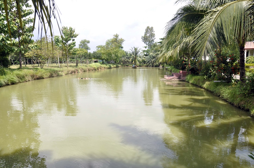 HasnaHena Picnic Spot